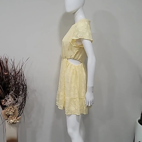 NWOT Show Me Your MuMu Merritt Mini Dress - Picture 6 of 12